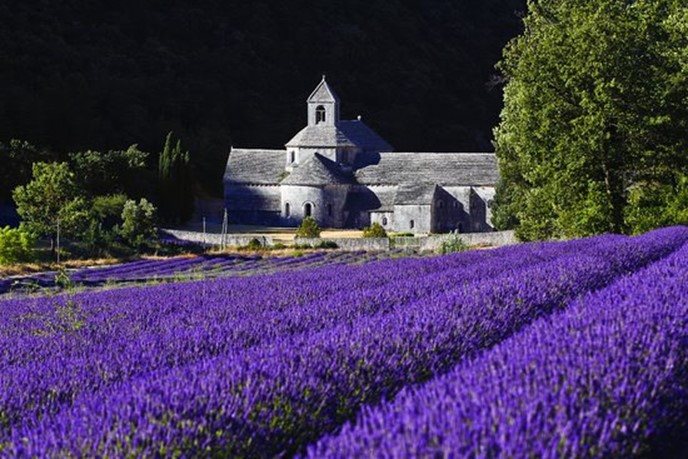 Prowansja i Luberon — galeria zdjęć 2